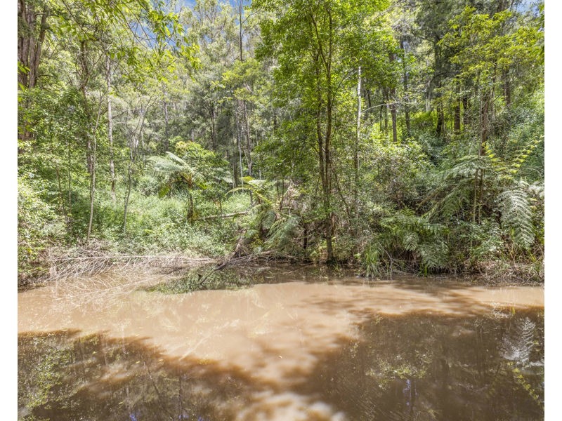 Bellingen NSW 2454