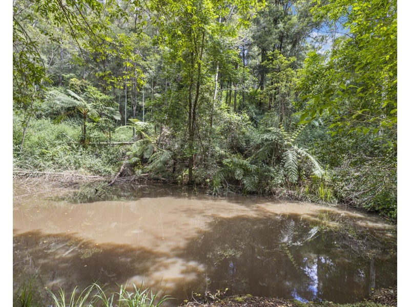 Bellingen NSW 2454