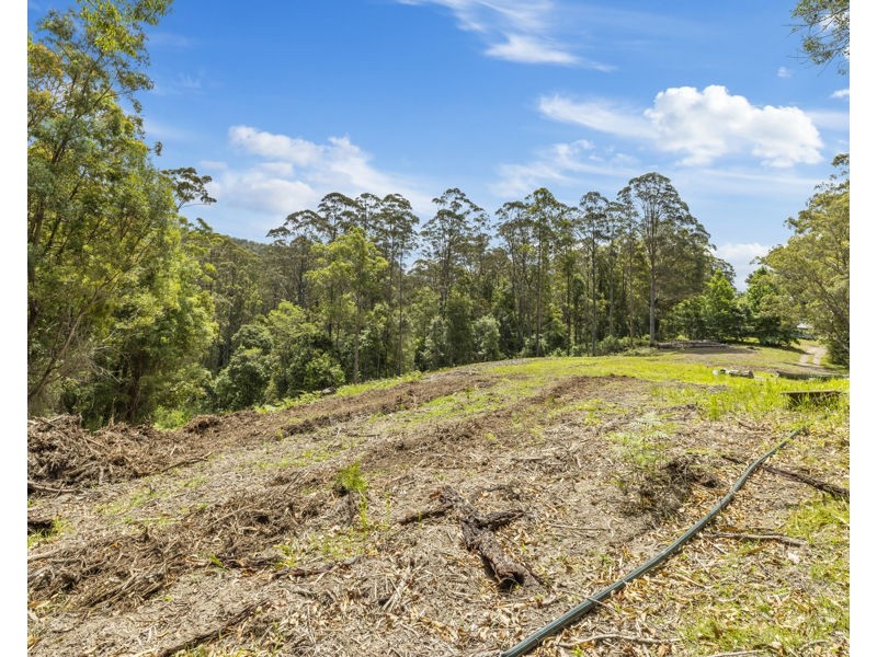 Bellingen NSW 2454