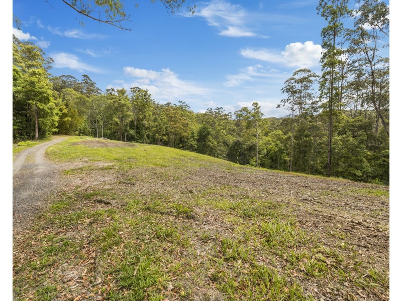 Bellingen NSW 2454