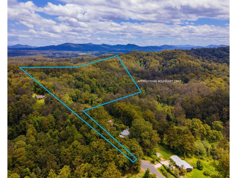 Bellingen NSW 2454