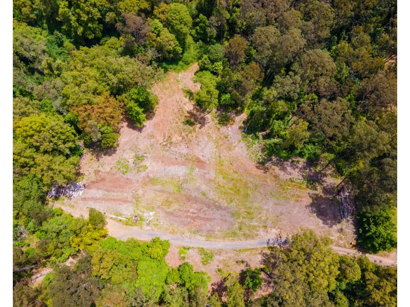 Bellingen NSW 2454