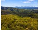 Bellingen NSW 2454