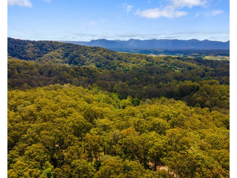 Bellingen NSW 2454