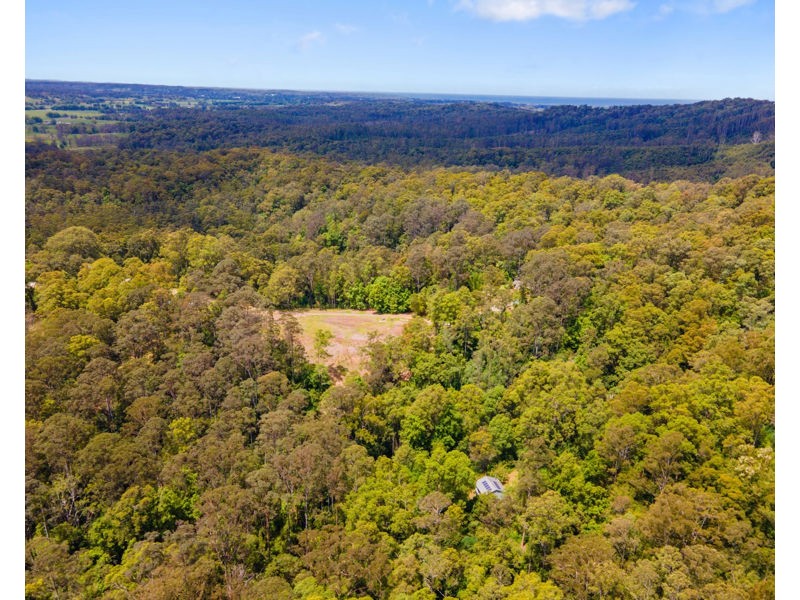Bellingen NSW 2454