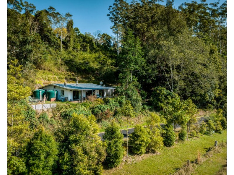 774 Kalang Road, Bellingen NSW 2454