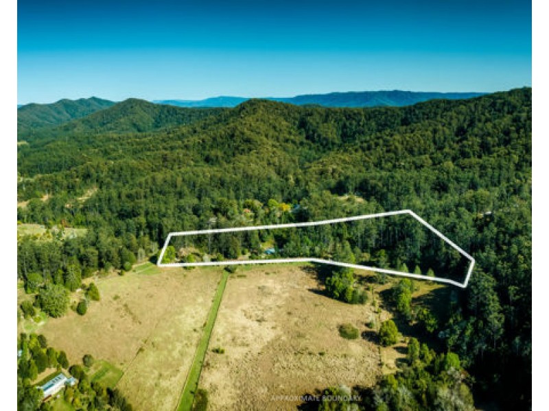 774 Kalang Road, Bellingen NSW 2454