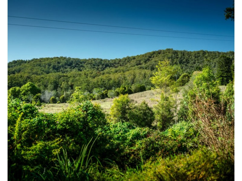 774 Kalang Road, Bellingen NSW 2454
