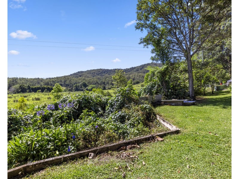 774 Kalang Road, Bellingen NSW 2454