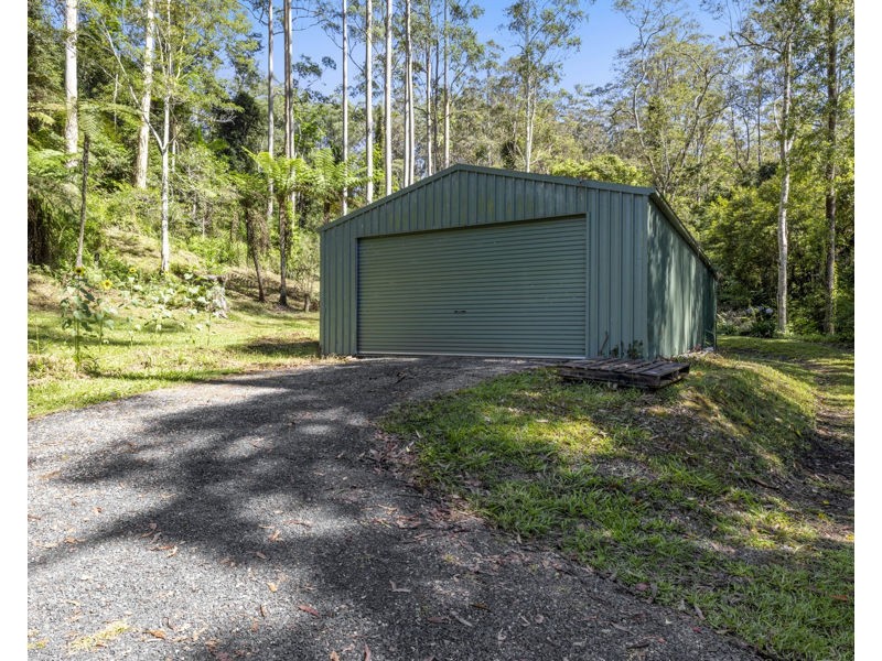 774 Kalang Road, Bellingen NSW 2454