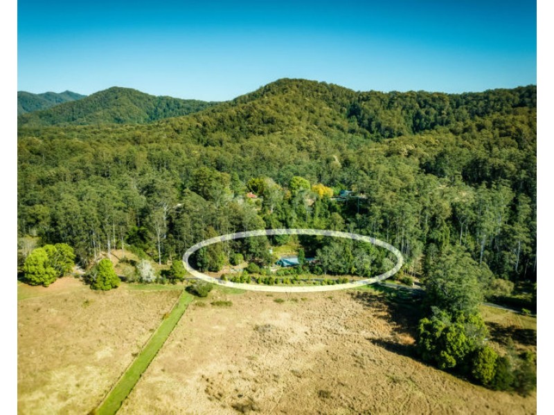 774 Kalang Road, Bellingen NSW 2454