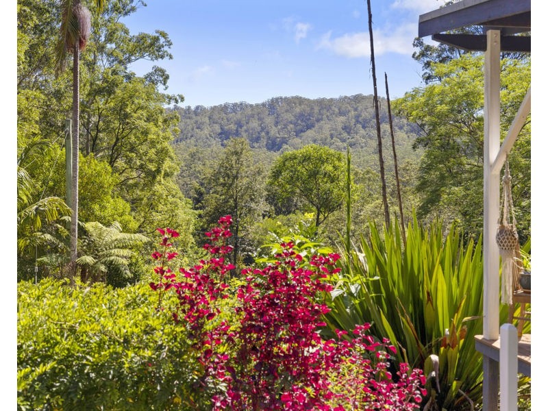 1824 Darkwood Rd, Bellingen NSW 2454