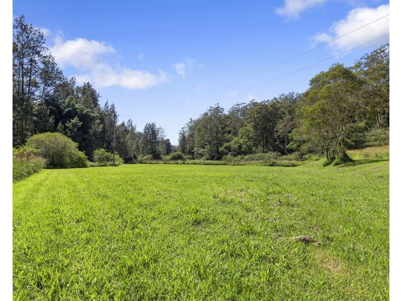 1824 Darkwood Rd, Bellingen NSW 2454