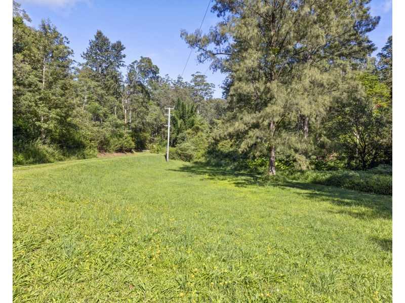 1824 Darkwood Rd, Bellingen NSW 2454