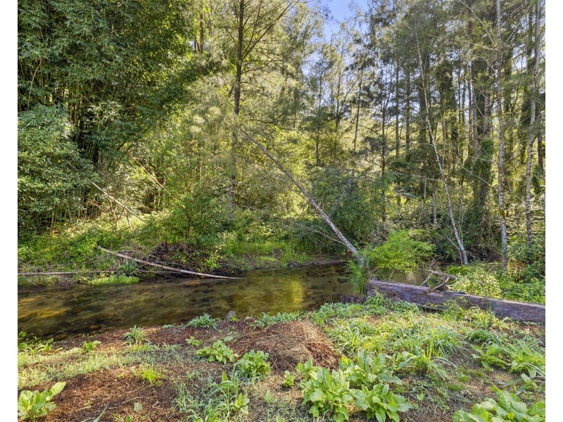 1824 Darkwood Rd, Bellingen NSW 2454