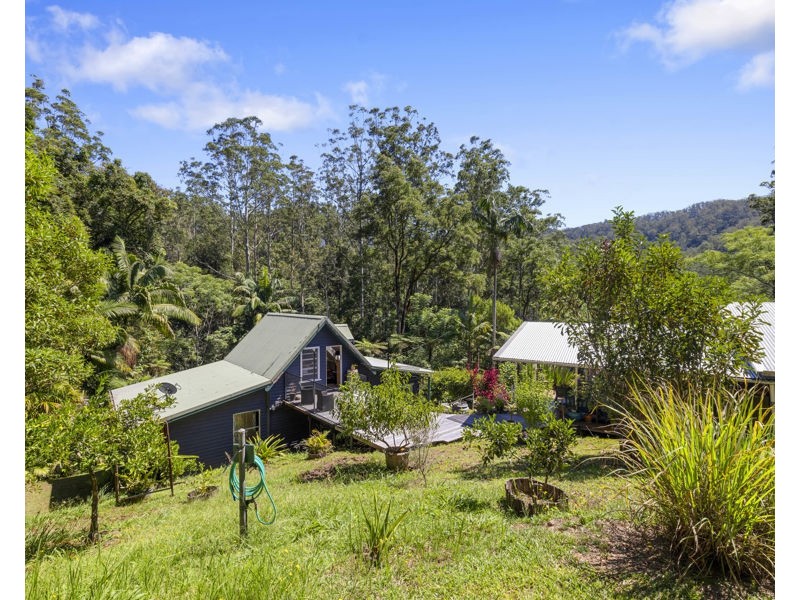 1824 Darkwood Rd, Bellingen NSW 2454
