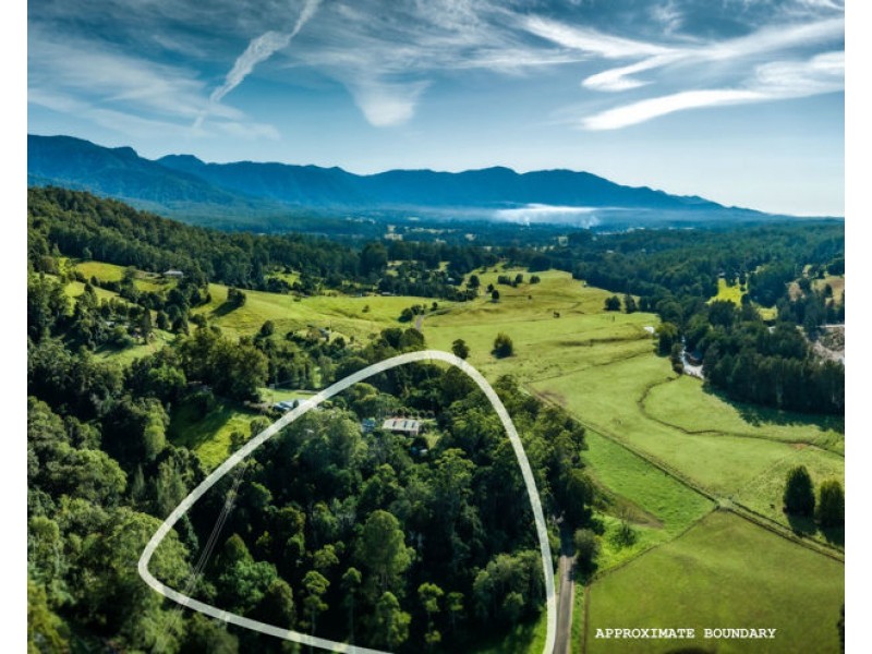 496 Gordonville Road, Bellingen NSW 2454