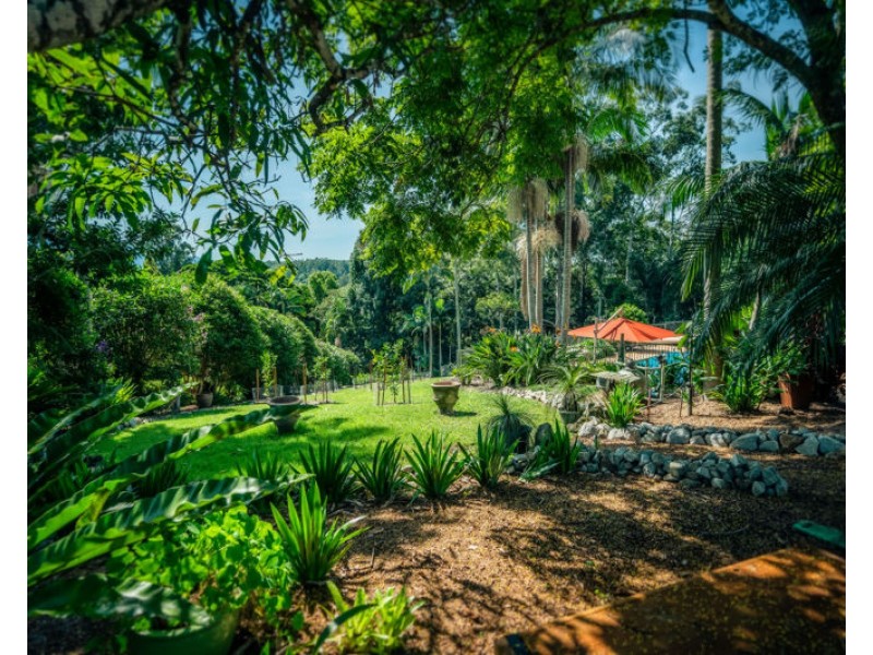 496 Gordonville Road, Bellingen NSW 2454