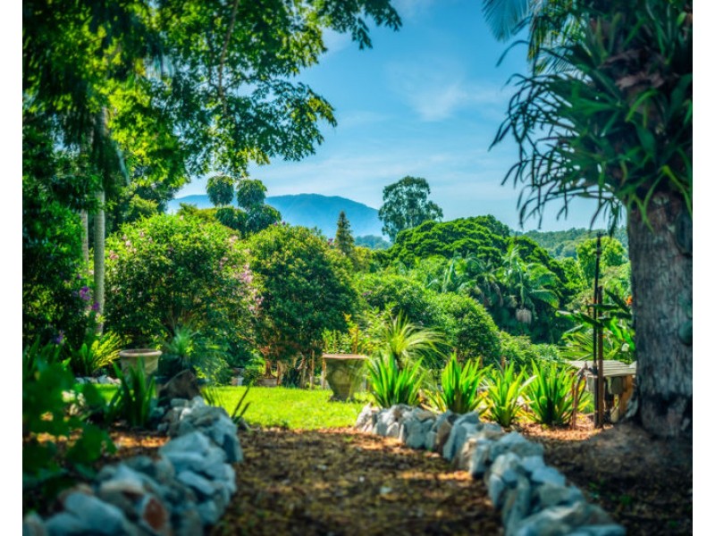 496 Gordonville Road, Bellingen NSW 2454