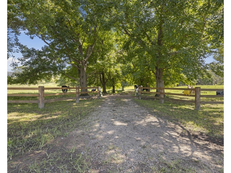 937 North Bank Road, Bellingen NSW 2454