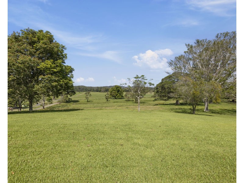 937 North Bank Road, Bellingen NSW 2454