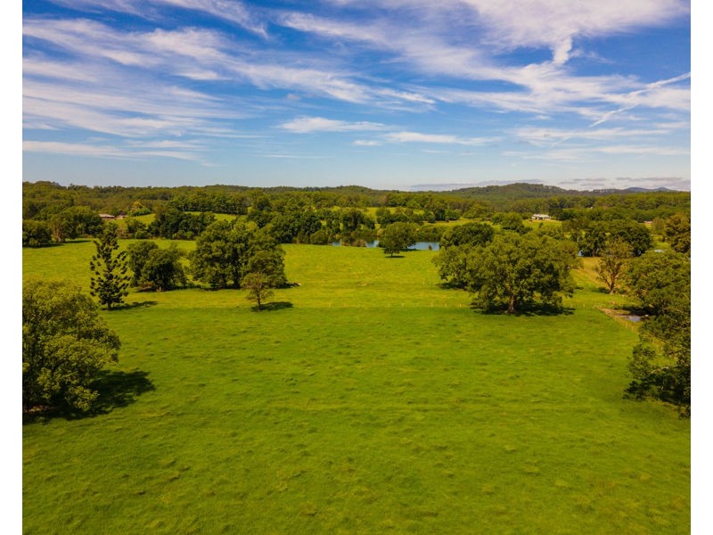 937 North Bank Road, Bellingen NSW 2454