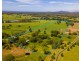 937 North Bank Road, Bellingen NSW 2454