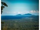 135 Hawks Road, Newee Creek NSW 2447