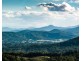135 Hawks Road, Newee Creek NSW 2447