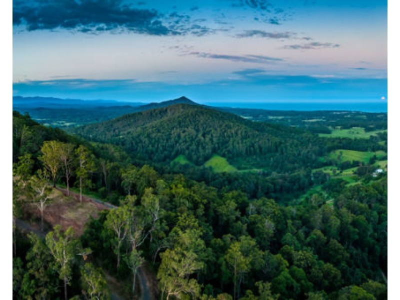 135 Hawks Road, Newee Creek NSW 2447
