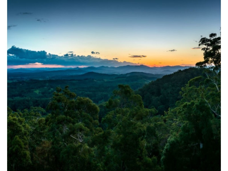 135 Hawks Road, Newee Creek NSW 2447