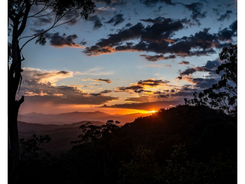 135 Hawks Road, Newee Creek NSW 2447