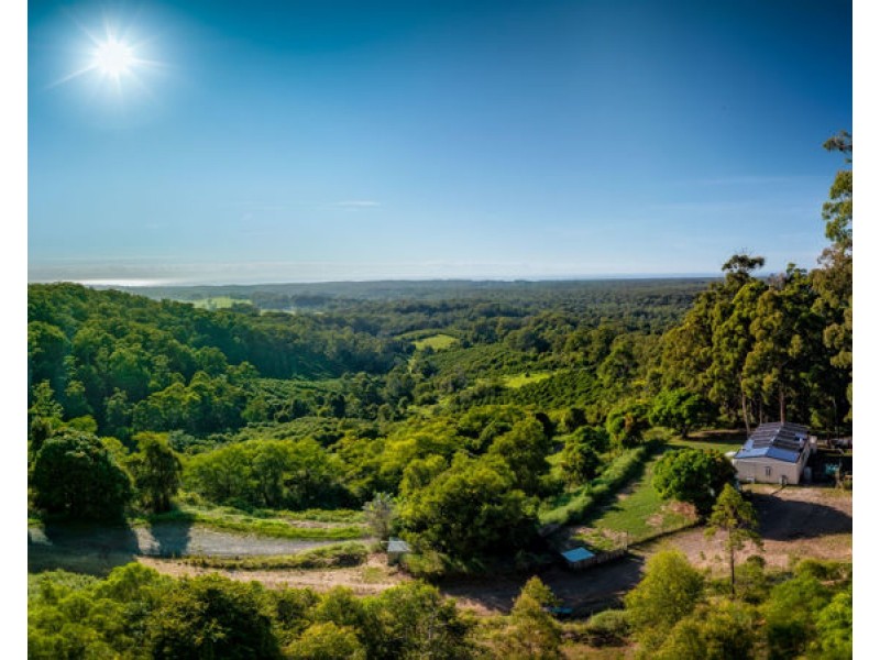 135 Hawks Road, Newee Creek NSW 2447