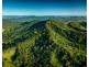 135 Hawks Road, Newee Creek NSW 2447