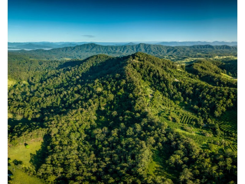 135 Hawks Road, Newee Creek NSW 2447