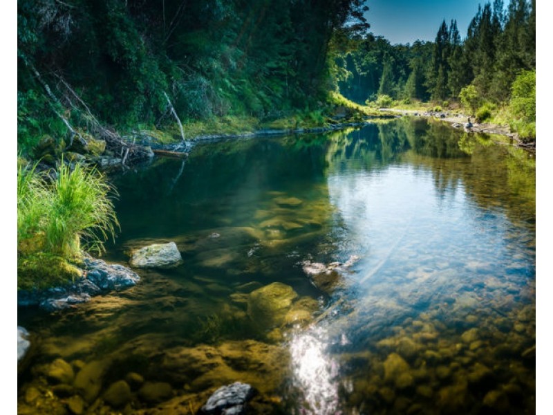 1498 Darkwood Road, Bellingen NSW 2454