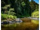 1498 Darkwood Road, Bellingen NSW 2454