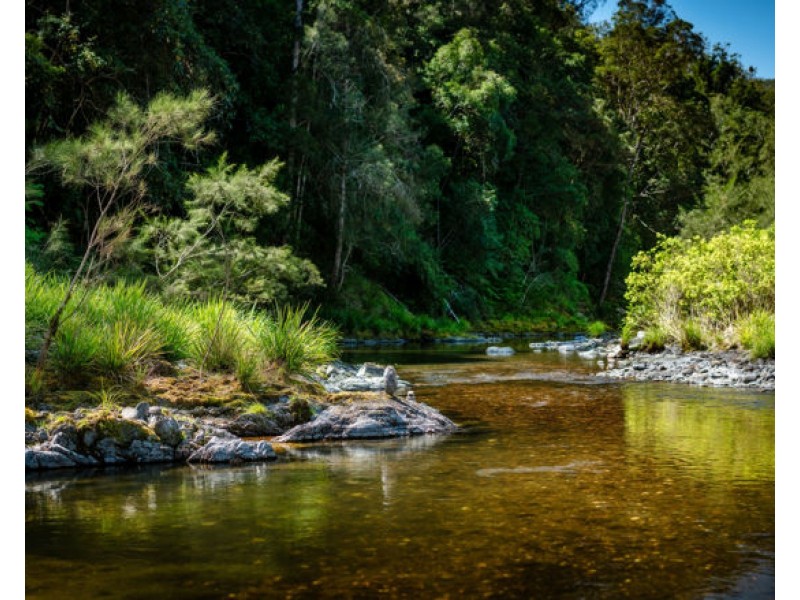 1498 Darkwood Road, Bellingen NSW 2454
