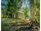 1498 Darkwood Road, Bellingen NSW 2454