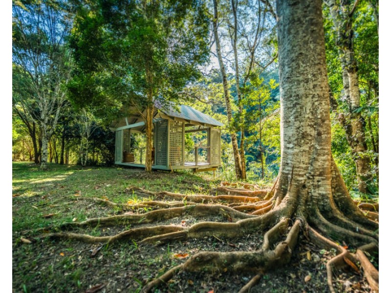 1498 Darkwood Road, Bellingen NSW 2454