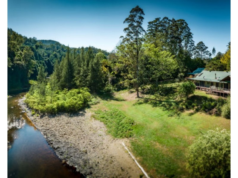 1498 Darkwood Road, Bellingen NSW 2454