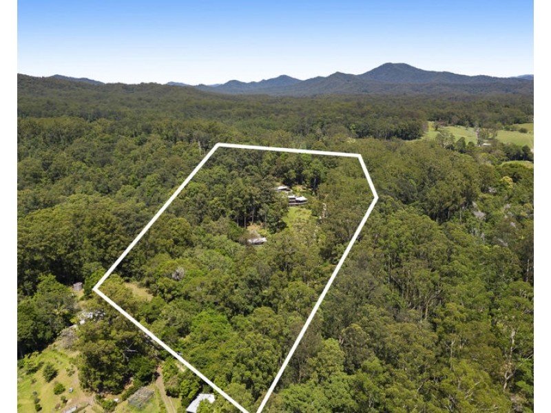 370 Martells Rd, Bellingen NSW 2454