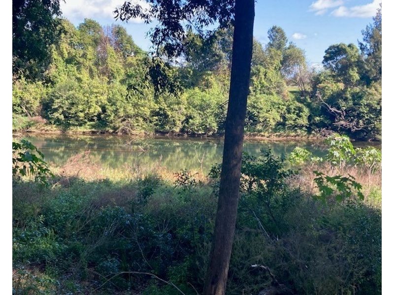 54 Dowle St,, Bellingen NSW 2454