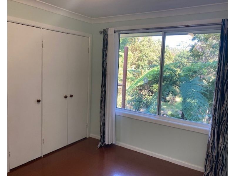 54 Dowle St,, Bellingen NSW 2454