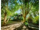 1117 Waterfall Way, Bellingen NSW 2454