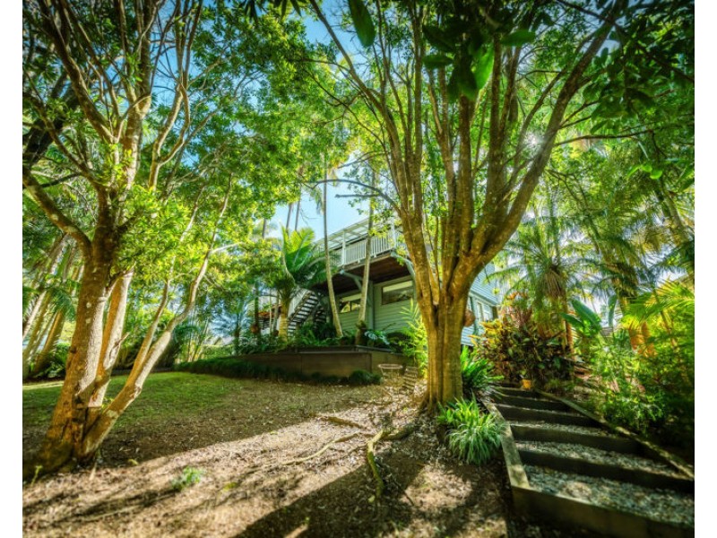 1117 Waterfall Way, Bellingen NSW 2454