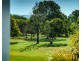 1117 Waterfall Way, Bellingen NSW 2454