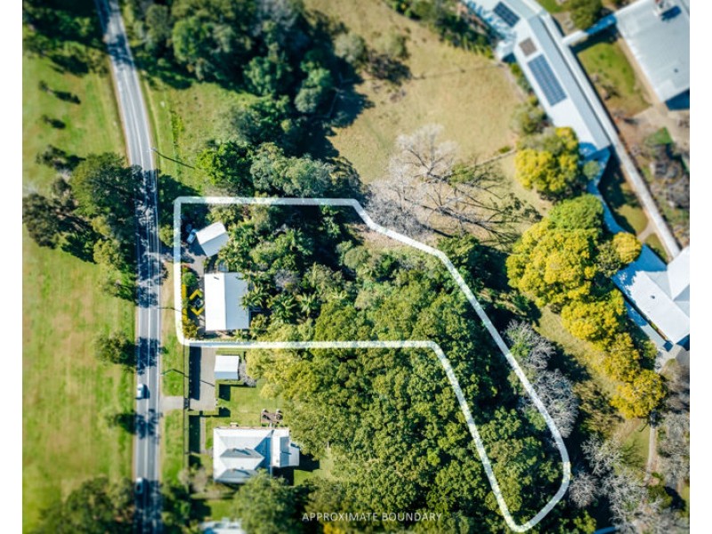 1117 Waterfall Way, Bellingen NSW 2454