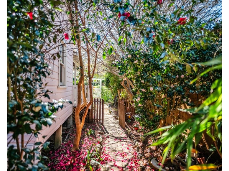 26 William Street, Bellingen NSW 2454