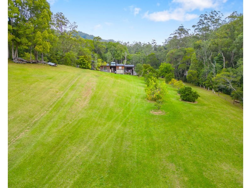 2206 Kalang Road, Bellingen NSW 2454